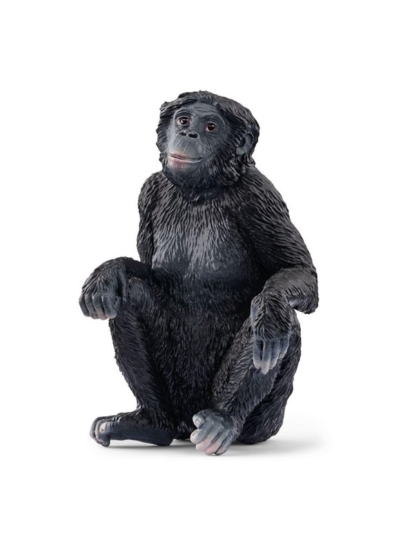 Schleich Bonobo Hunn