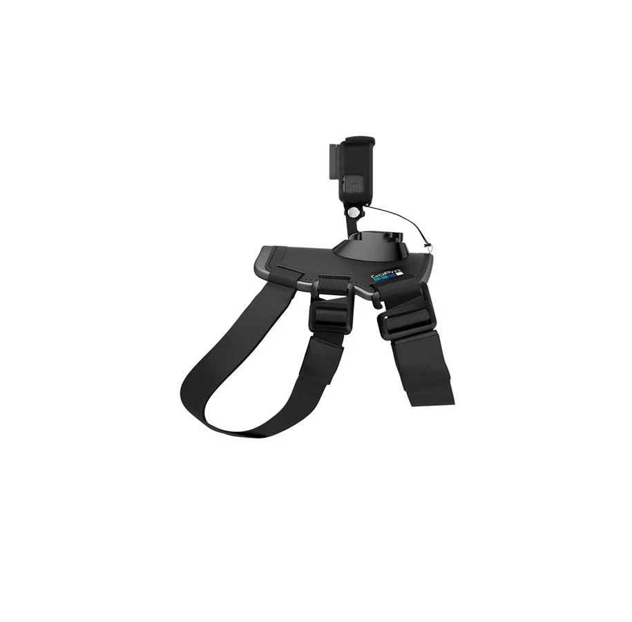 GoPro Go Pro Fetch