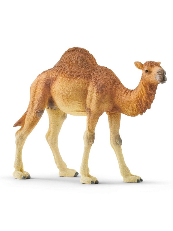 Schleich Dromedar