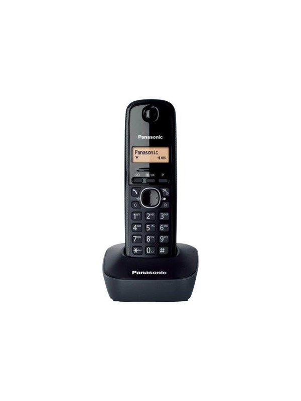 Panasonic KX-TG1611 - cordless phone with caller ID