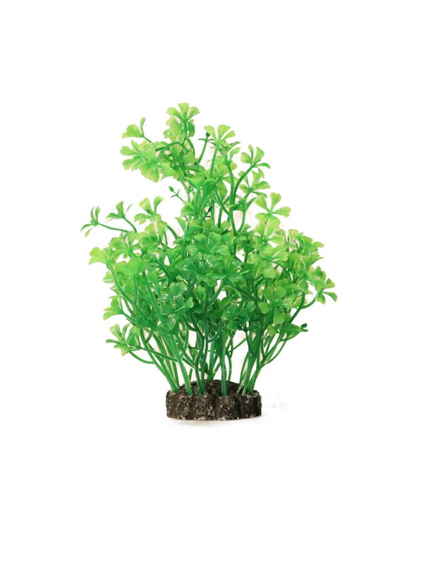 AQUAEL Dekorativ Akvarieplante i Plast 15cm