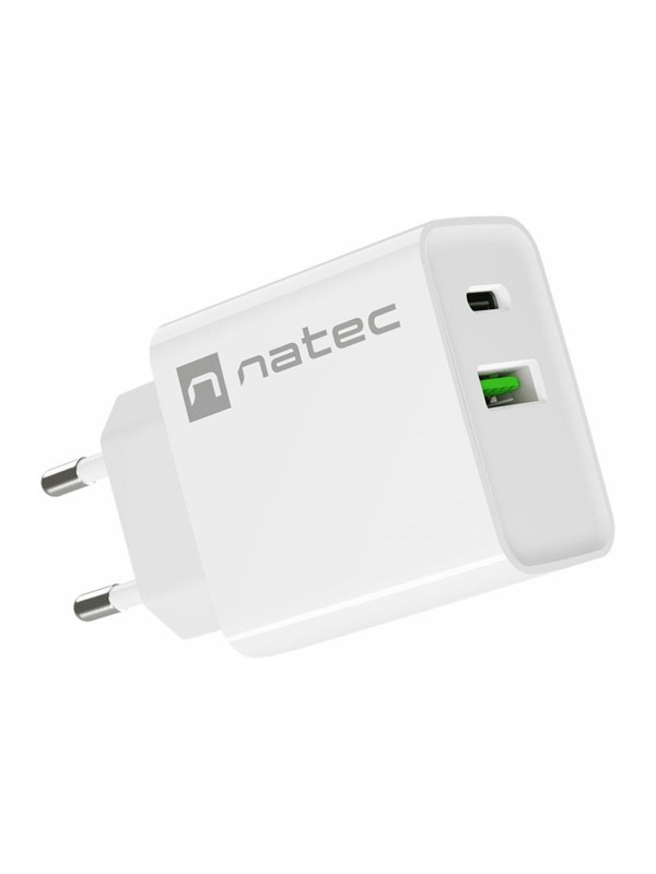 Natec Ribera power adapter - USB 24 pin USB-C - 20 Watt
