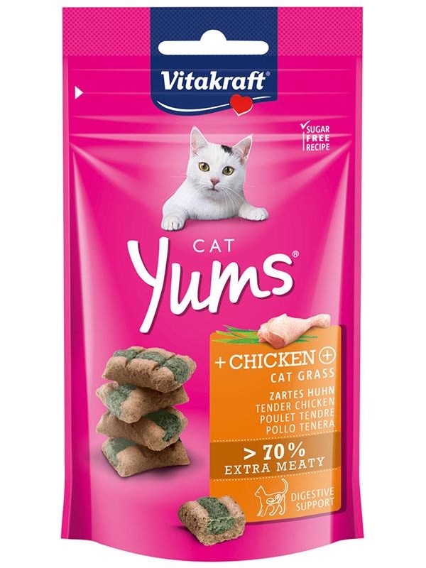 Vitakraft Cat Yums + Chicken and Cat Grass 40g