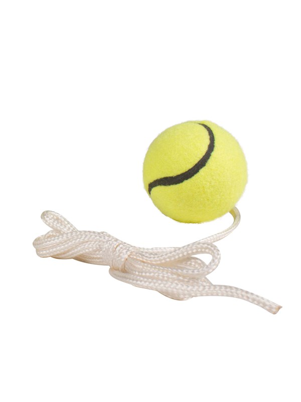 My Hood Extra Ball for Pole Tennis