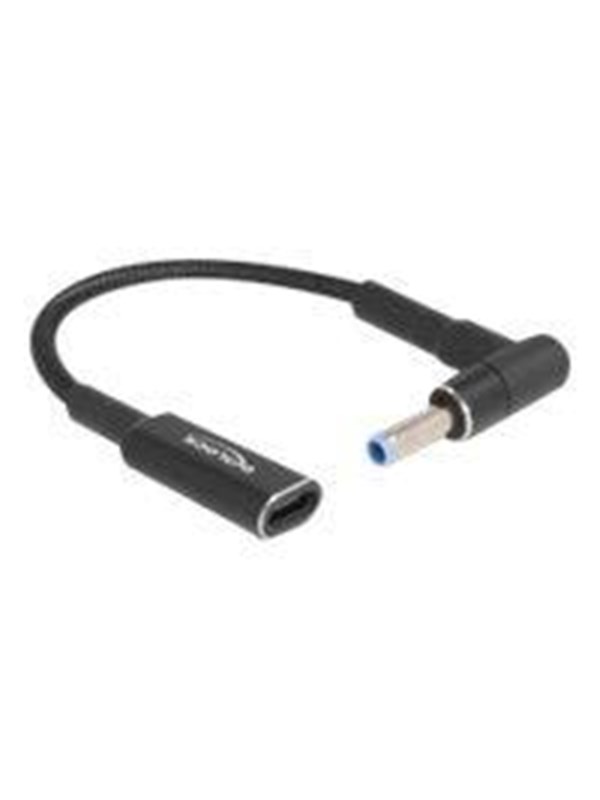 DeLOCK - power adapter - USB-C female to DC jack (HP) male - 15 cm