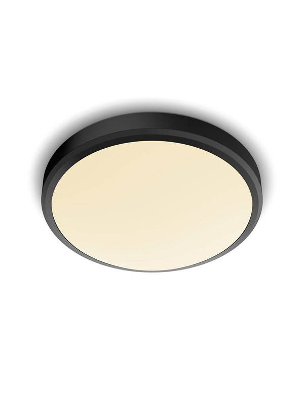 Philips DORIS CL257 EC RD 17W 27K B HV IP44 06