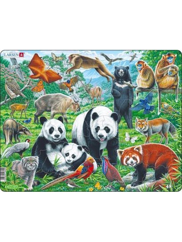 Larsen Puzzles Puzzle Chinese wildlife - 56 pieces Maxi (36.5x28.5 cm) Gulv