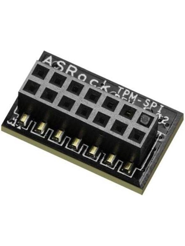 ASRock TPM-SPI