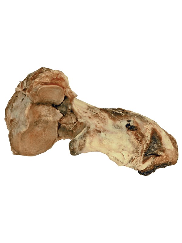 Dogman Okse knokkelbein