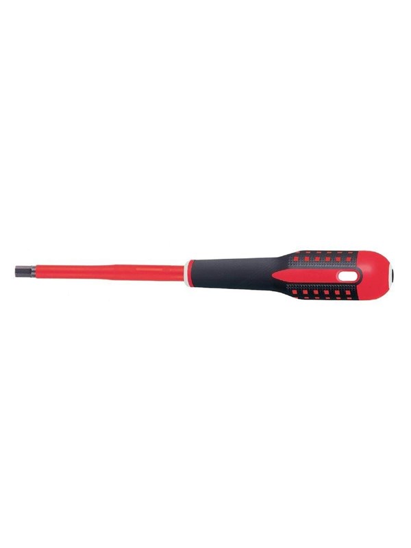 BAHCO Screw.dr ergo iec hex 5x175