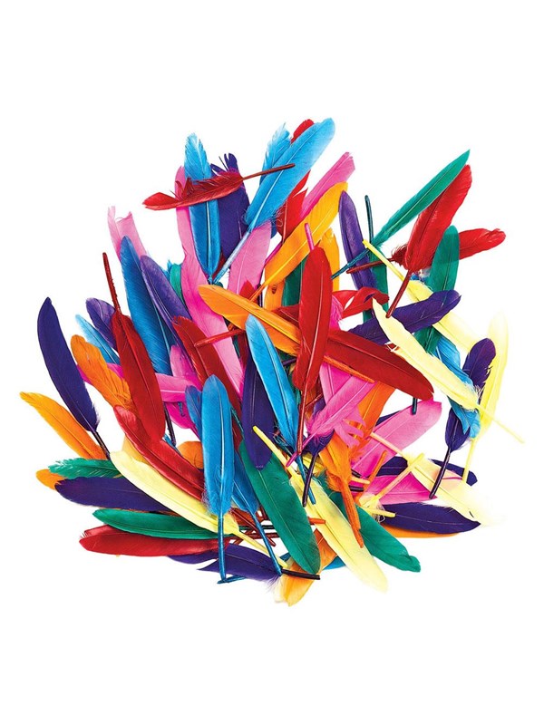 Colorations - Colored Duck Feathers 28.5 grams