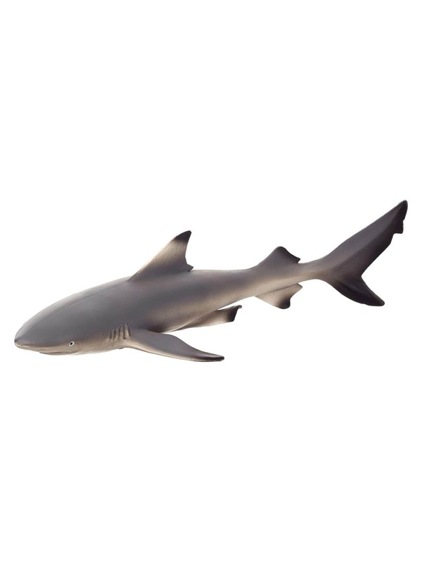 Mojo Sealife Blacktip Reef Shark