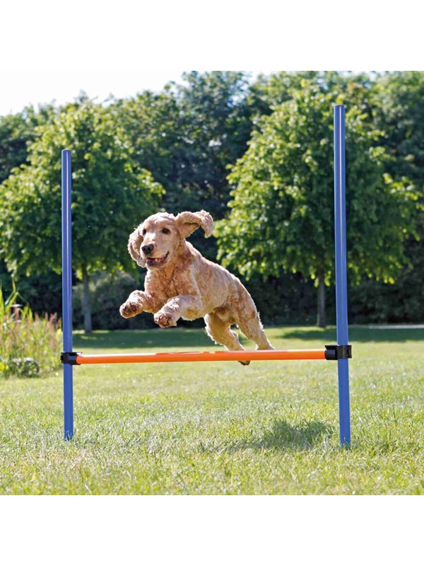 Trixie Dog Fun Agility Hurdle 123x115cm