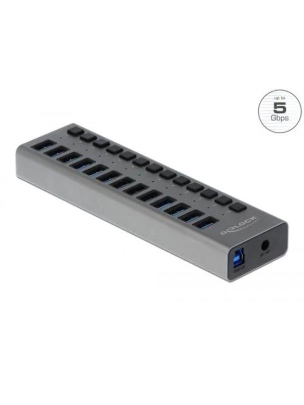DeLOCK - hub - 13 ports USB-hub - USB 3.0 - 13 porter - Grå