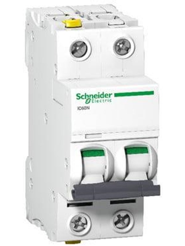 Schneider Electric Acti9 ic60n 2p 10a d  circuit b
