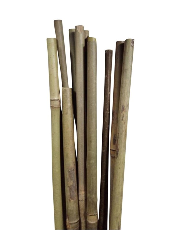Home>it Bamboo Sticks - Natural Strength for Your Projects - Ø10 mm x 60 cm 4 units.