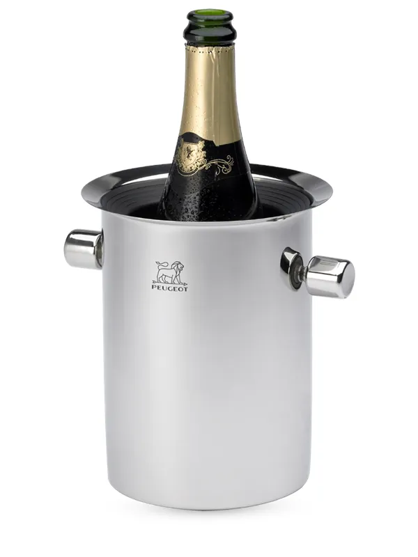 Peugeot Temperature balancing bucket with ice cubes