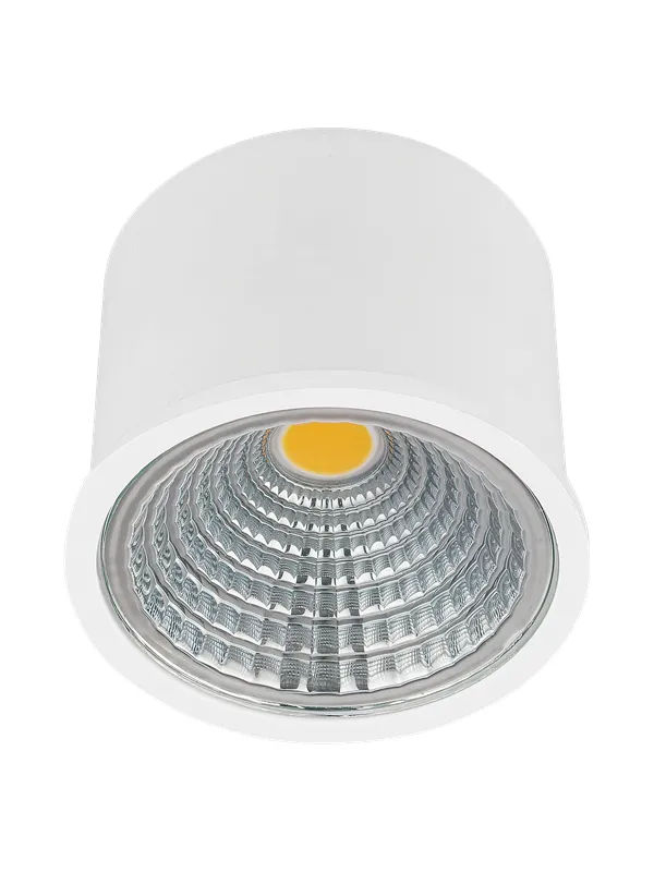 EGLO SALICETO 2 4W Ø50 mm white