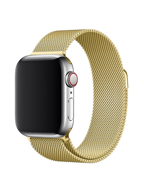 Lippa Apple Watch Stainless Steel 42/44/45/49 - Gold