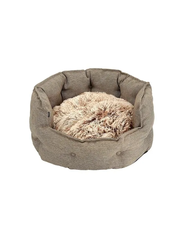 Dogman Seng Classy Memory oval bei XL