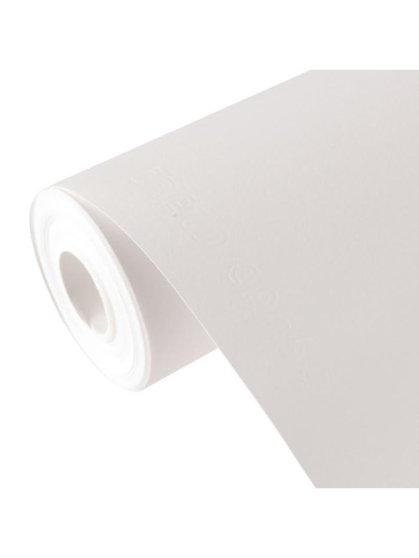 Canson C Á grain FG 1.5x10 m 180G Roll