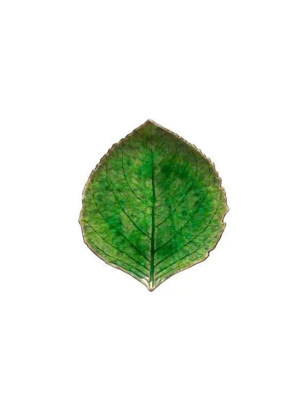 Costa Nova Asiet hydrangea leaf Riviera 17 x 15 cm Green/Black Ceramic