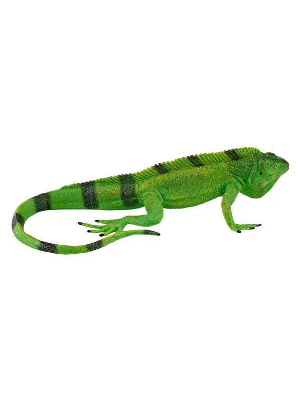 Mojo Wildlife Iguana