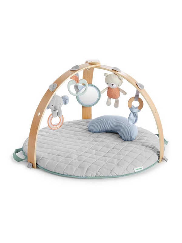 Ingenuity Reversible duvet activity gym