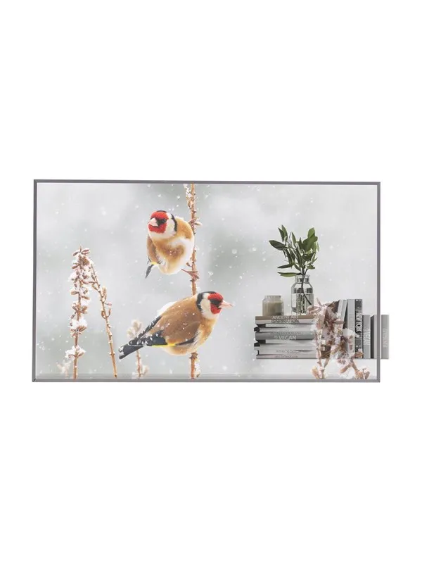 LG 55EW5P-M 55" OLED display - Full HD - for digital signage
