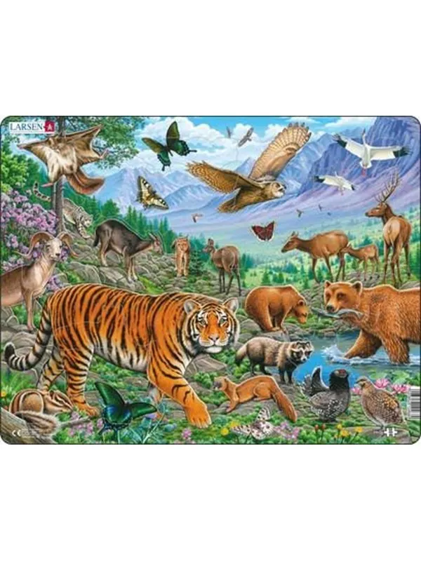 Larsen Puzzles Puzzle Siberian tiger summer - 36 pieces Maxi (36.5x28.5 cm) Gulv