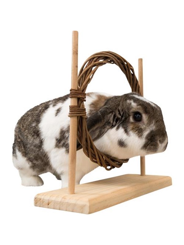 Trixie Smådyr Agility Sett med Ring & Hinder for Rotter Dvergkaniner 28x26x11cm