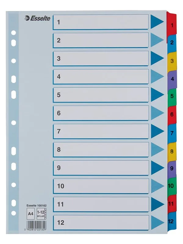 Esselte Register  Mylar A4 1-12 Flerfarg