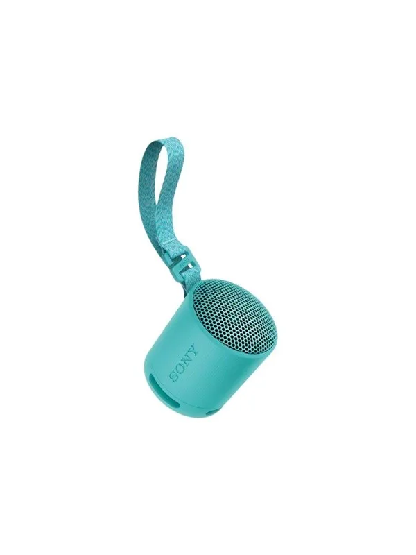 Sony SRS-XB100 - portable speaker - Blue