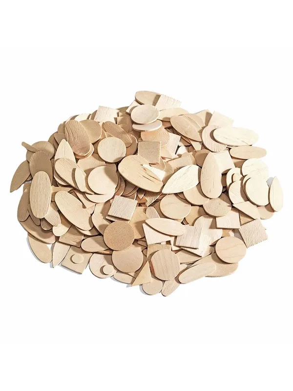 Colorations - Wooden Geographic Shapes 1000 pcs.