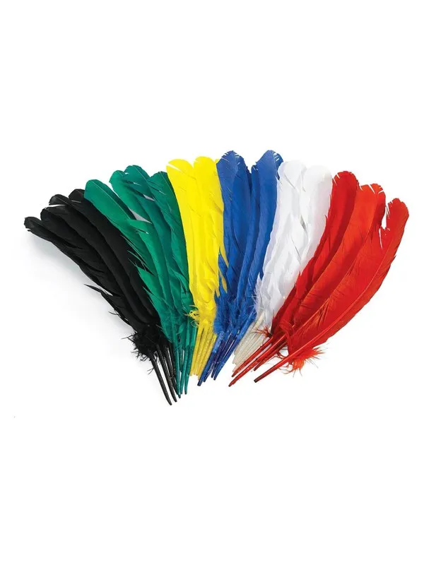 Colorations - Feathers 30cm Set of 24