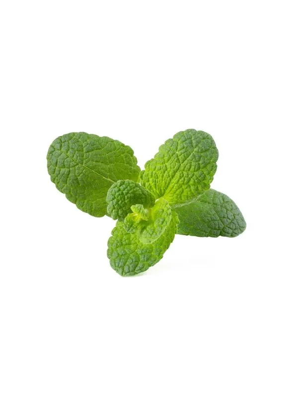 Click & Grow Click and Grow Smart Garden Refill 3-pack - Apple Mint