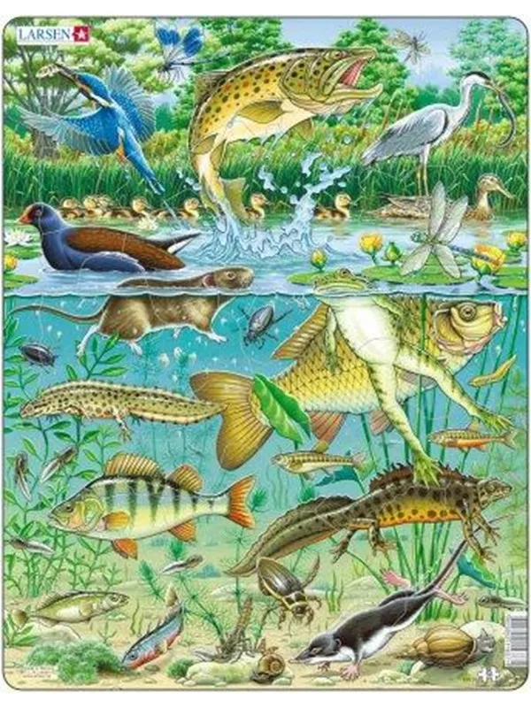 Larsen Puzzles Animals - Pond 50 pcs.
