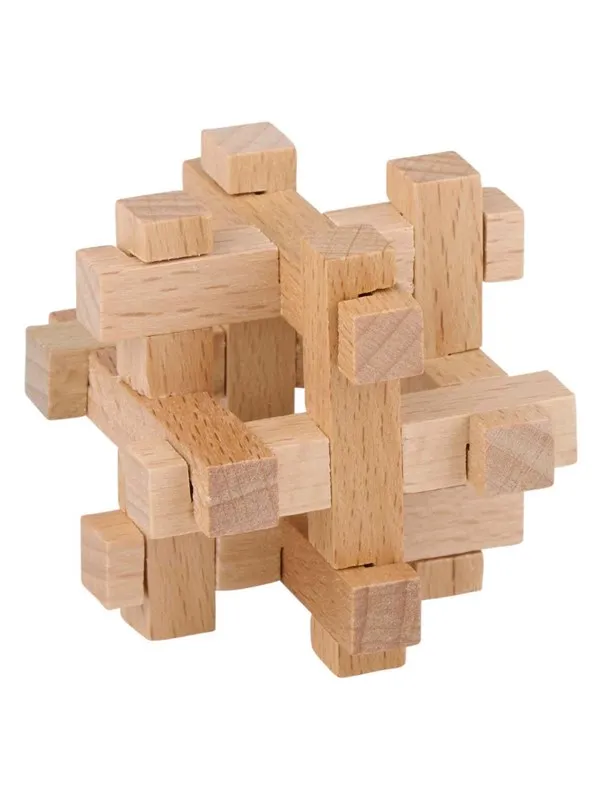 Lifetime Wooden Brain Puzzle