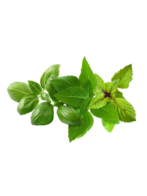 Click & Grow Click and Grow - Smart Garden Refill 9-pack Basil Variety Mix