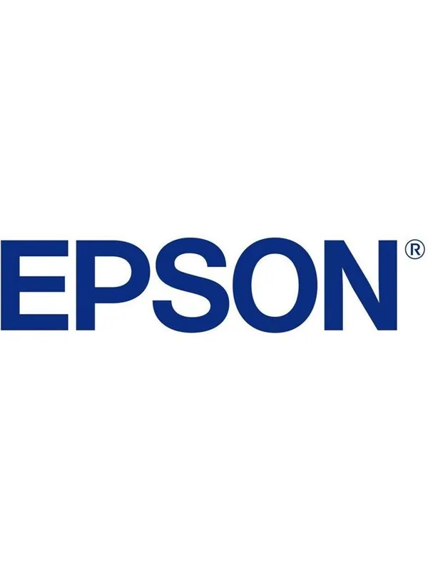Epson Production Canvas Matte