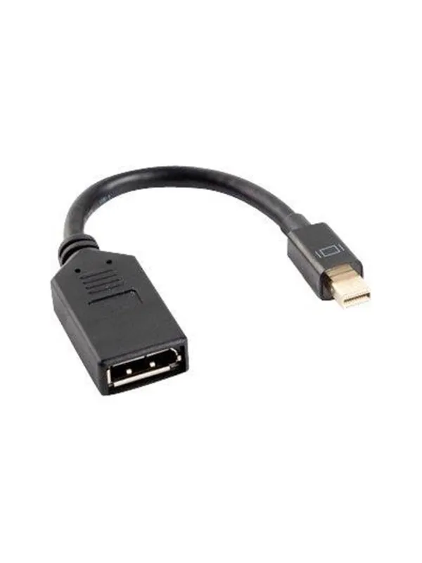 Lanberg DisplayPort adapter - 12 cm