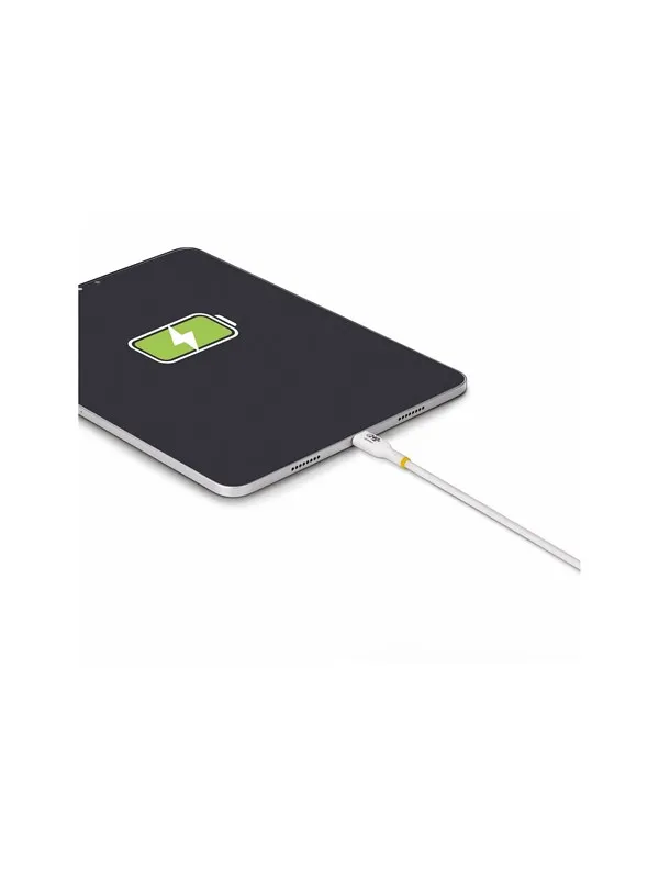 StarTech.com 2m USB C Charging Cable USB-IF Certified USB-C Cable 240W - USB-C cable - 24 pin USB-C to 24 pin USB-C - 2 m