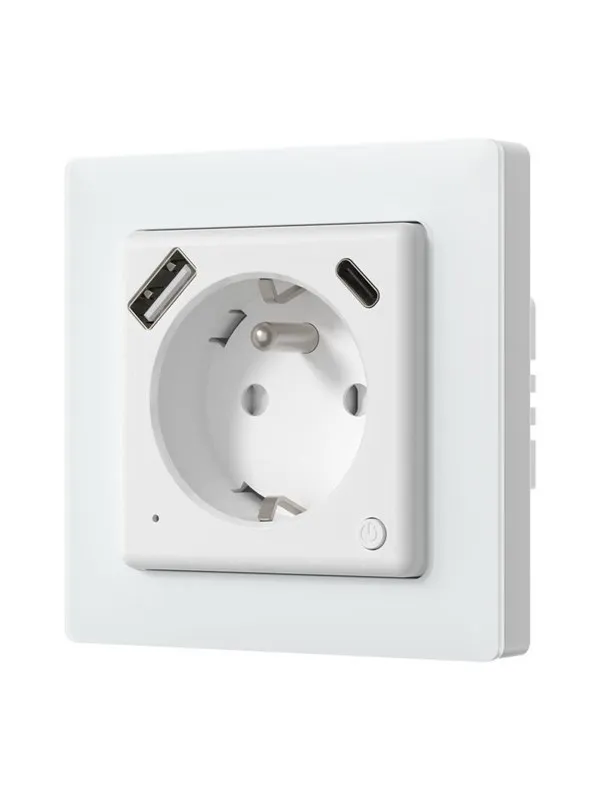Avatto WOT20-FR Smart Outlet