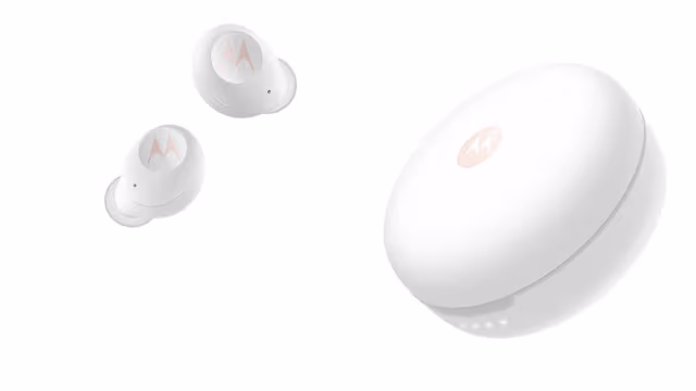 Hodetelefoner In-ear Vervebuds 250 TWS Hvit