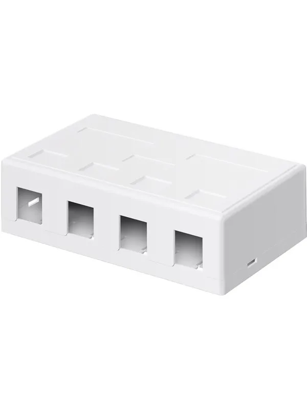 Pro Keystone empty housing 4 port