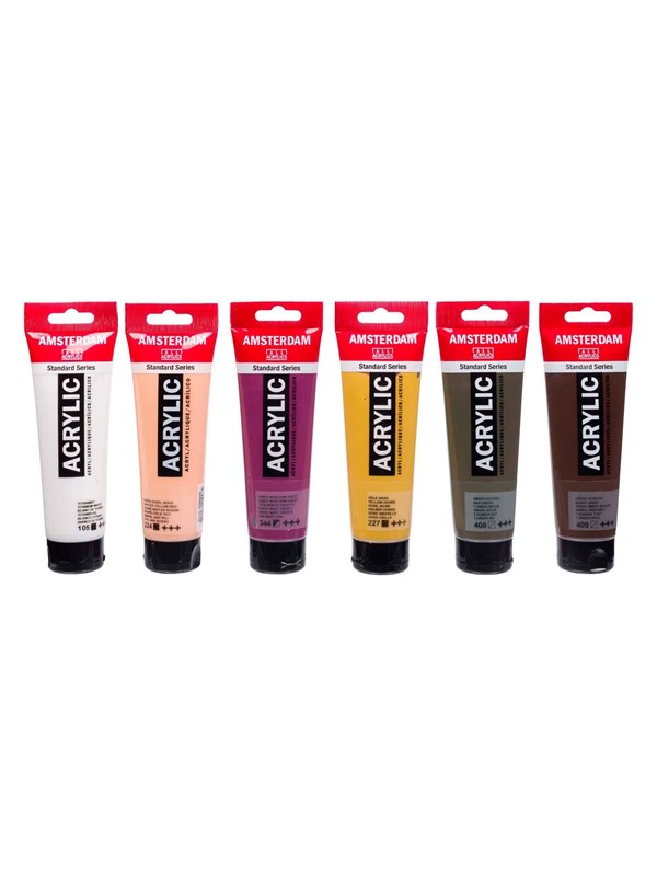 Bruynzeel Amsterdam Standard Series Acrylic Paint Portrait Set 120ml 6pcs.