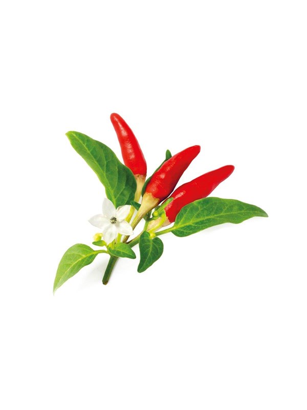 Click &amp; Grow Click and Grow Smart Garden Refill 3-pack - Red Hot Chili Pepper