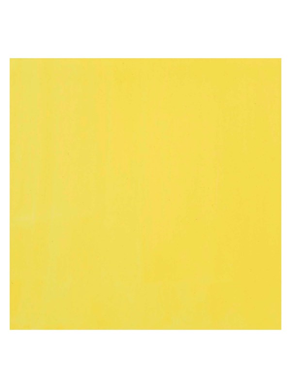 Bruynzeel Ecola Poster Paint Bottle 16ml Lemon Yellow (Primary) 205