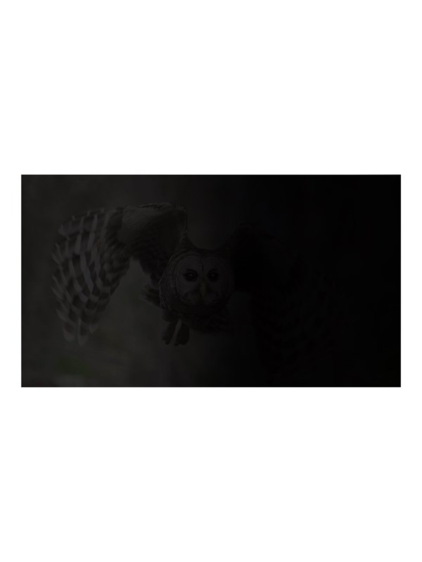 Natec OWL notebook privacy filter