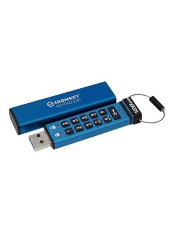 Kingston IronKey 200 - 128GB - Minnepenn
